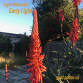 Early Light — Light Work Vol. 1